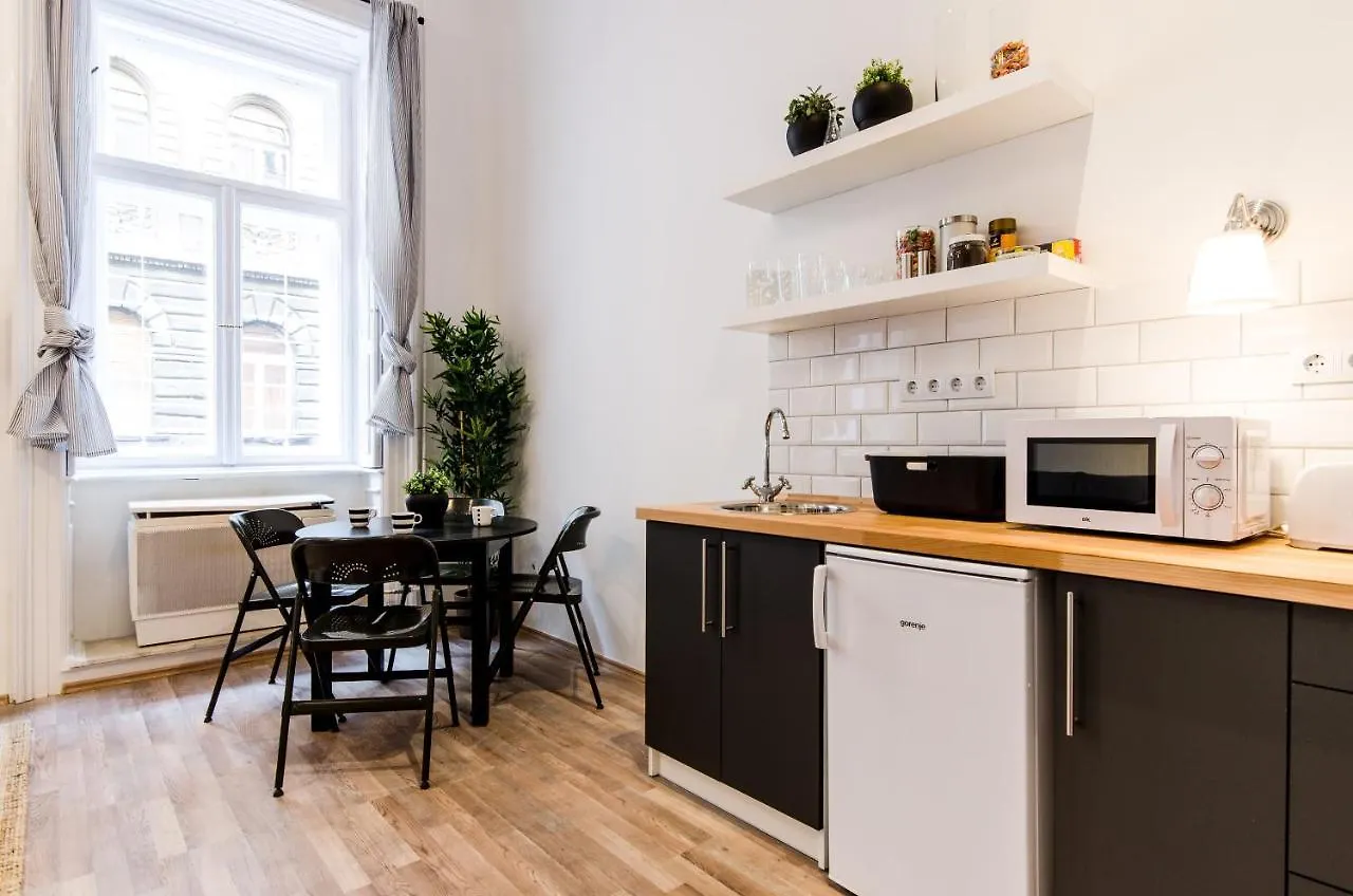 Spacious 3 Room Apartment In Downtown Budapest