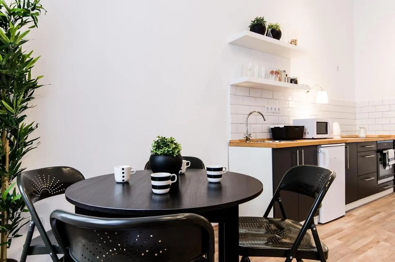 Spacious 3 Room Apartment In Downtown Budapest Hungary
