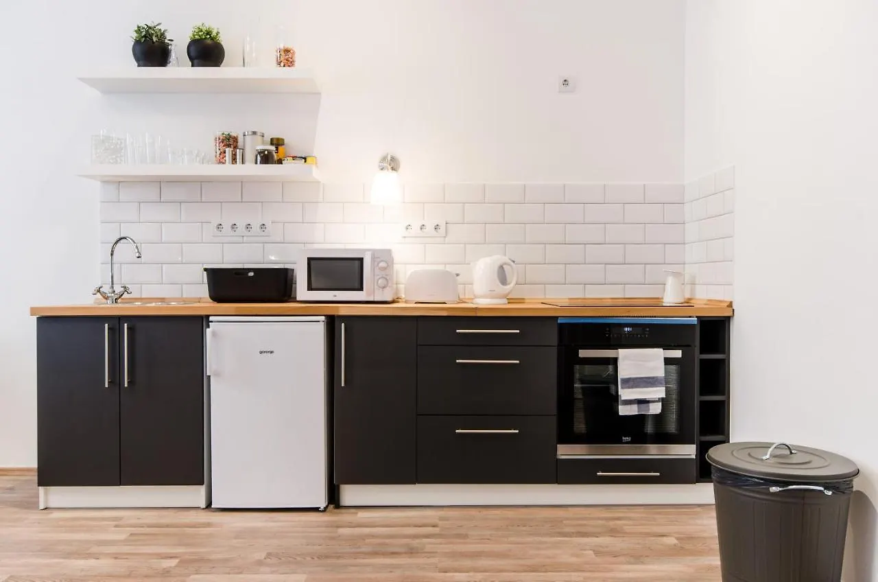 Spacious 3 Room Apartment In Downtown Budapest