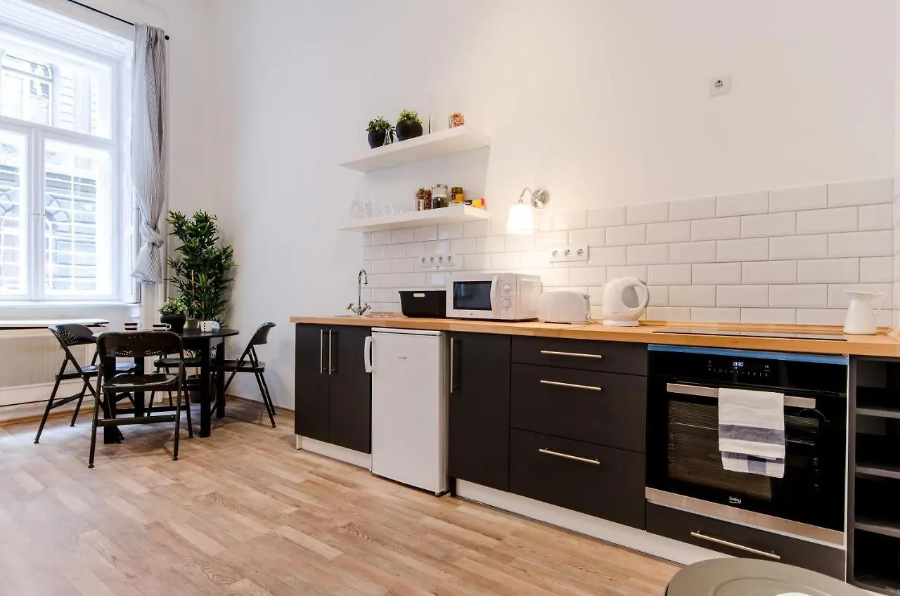Spacious 3 Room Apartment In Downtown Budapest Hungary